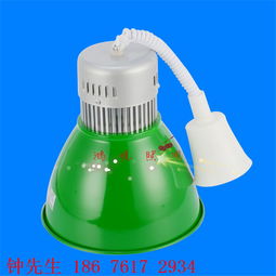 中山led生鮮燈廠家低價格批發cob軌道生鮮射燈